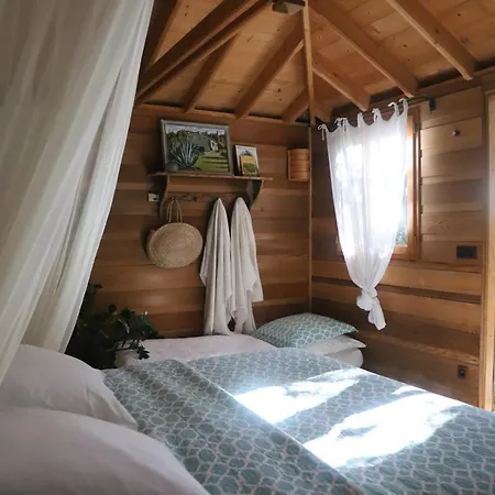 Orion Treehouses